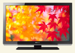 Fernseher